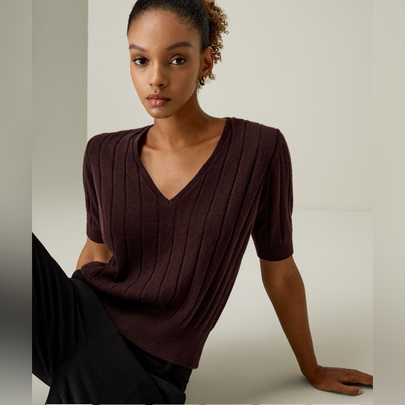 LilySilk Tops - Elegant V-Neck Ribbed Knit Top - Dark Brown